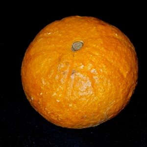 Vintage Italian Alabaster Hand Carved Orange Fruit